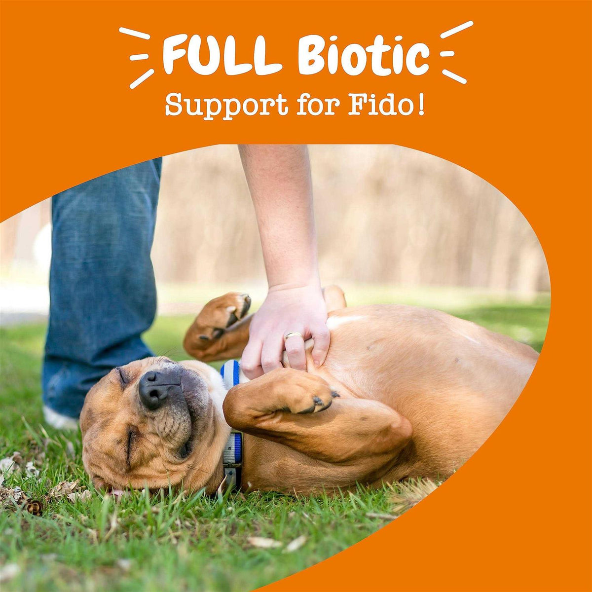 Probiotic Gut Health Bites for Dogs L569293