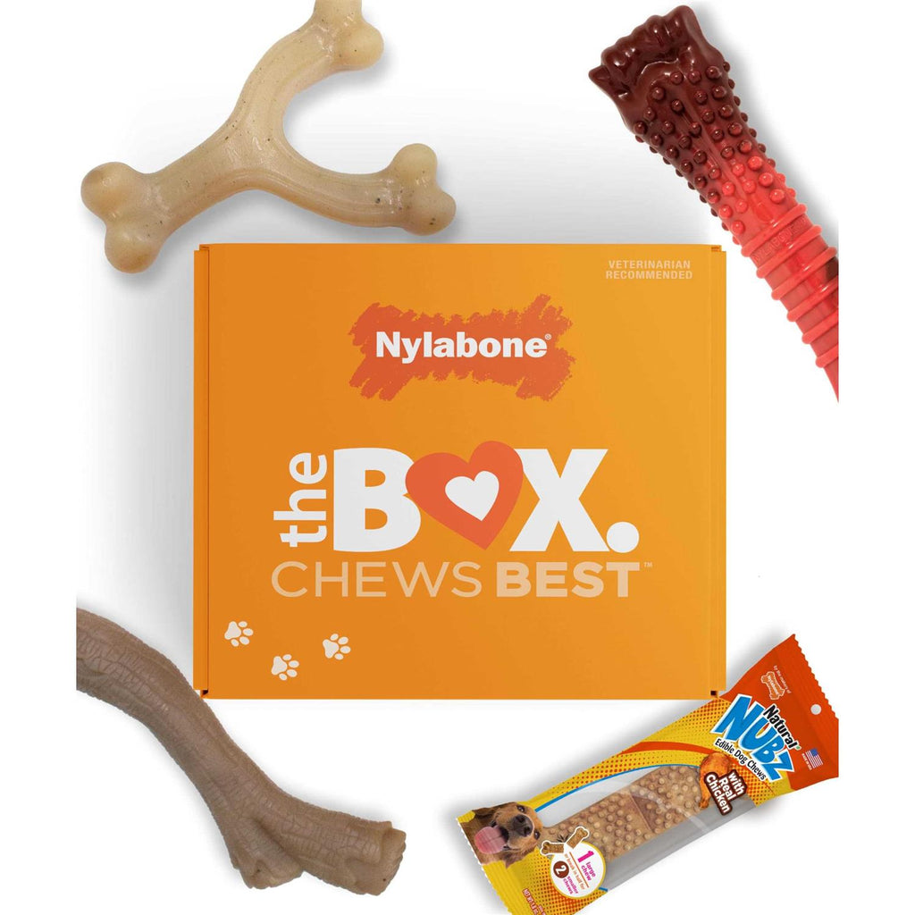 Chew Toy & Treat Gift Box X391
