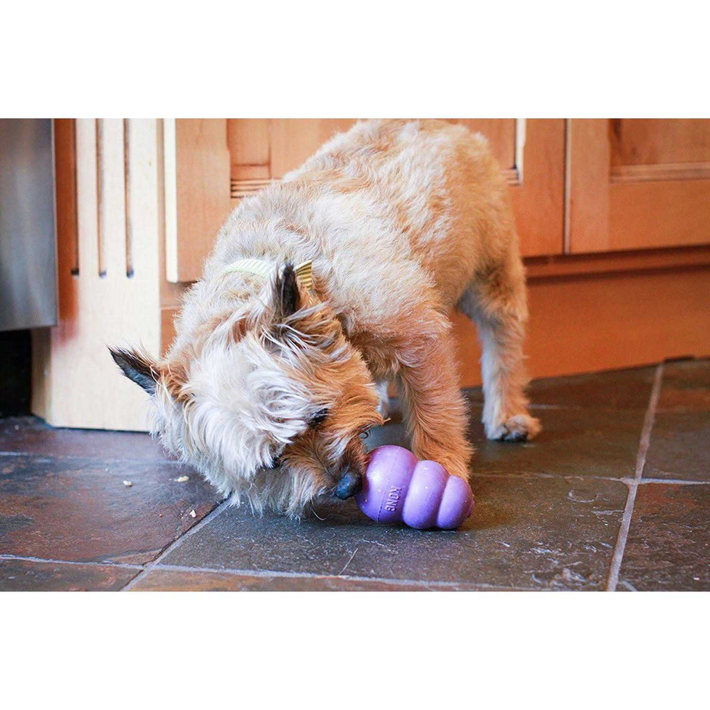 Senior Dog Toy X757792