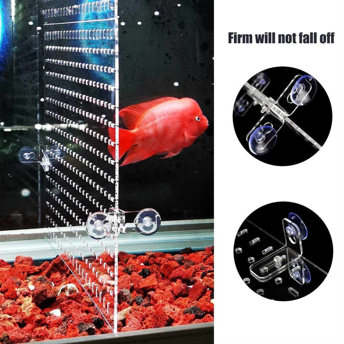 Clear Aquarium Divider with Suction Cups E261370