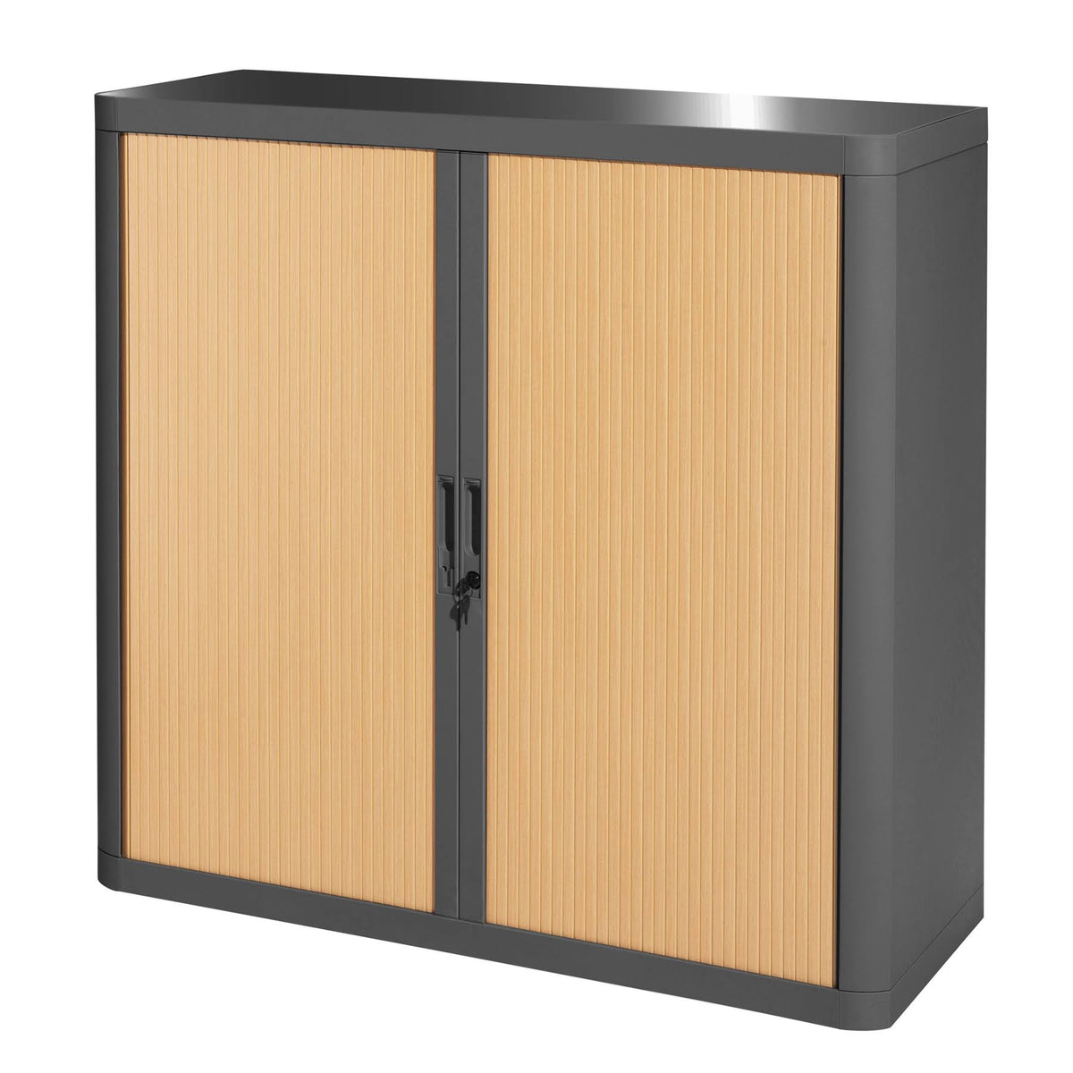 Charcoal Beech Storage Cabinet with Two Shelves K218085