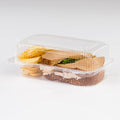Clear Plastic Hinged Locking Lid Food Container B323740