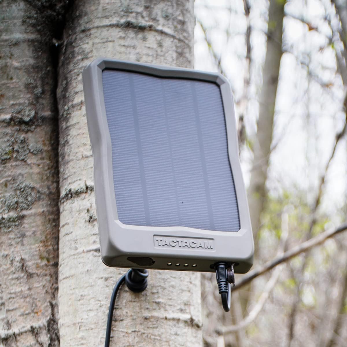 External Solar Panel W690343