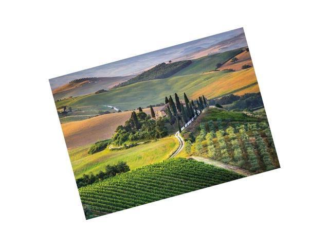 1000 Piece Puzzle Q9412