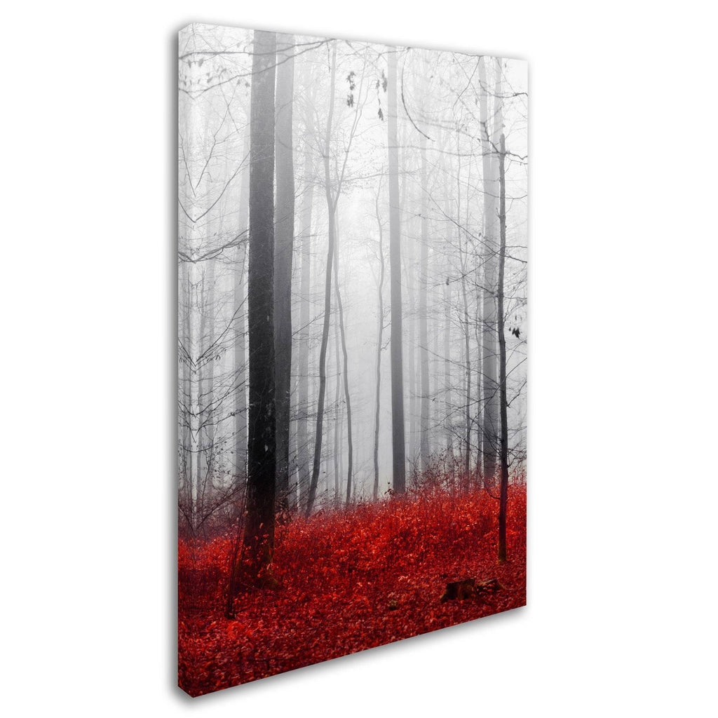 Canvas Art E378958