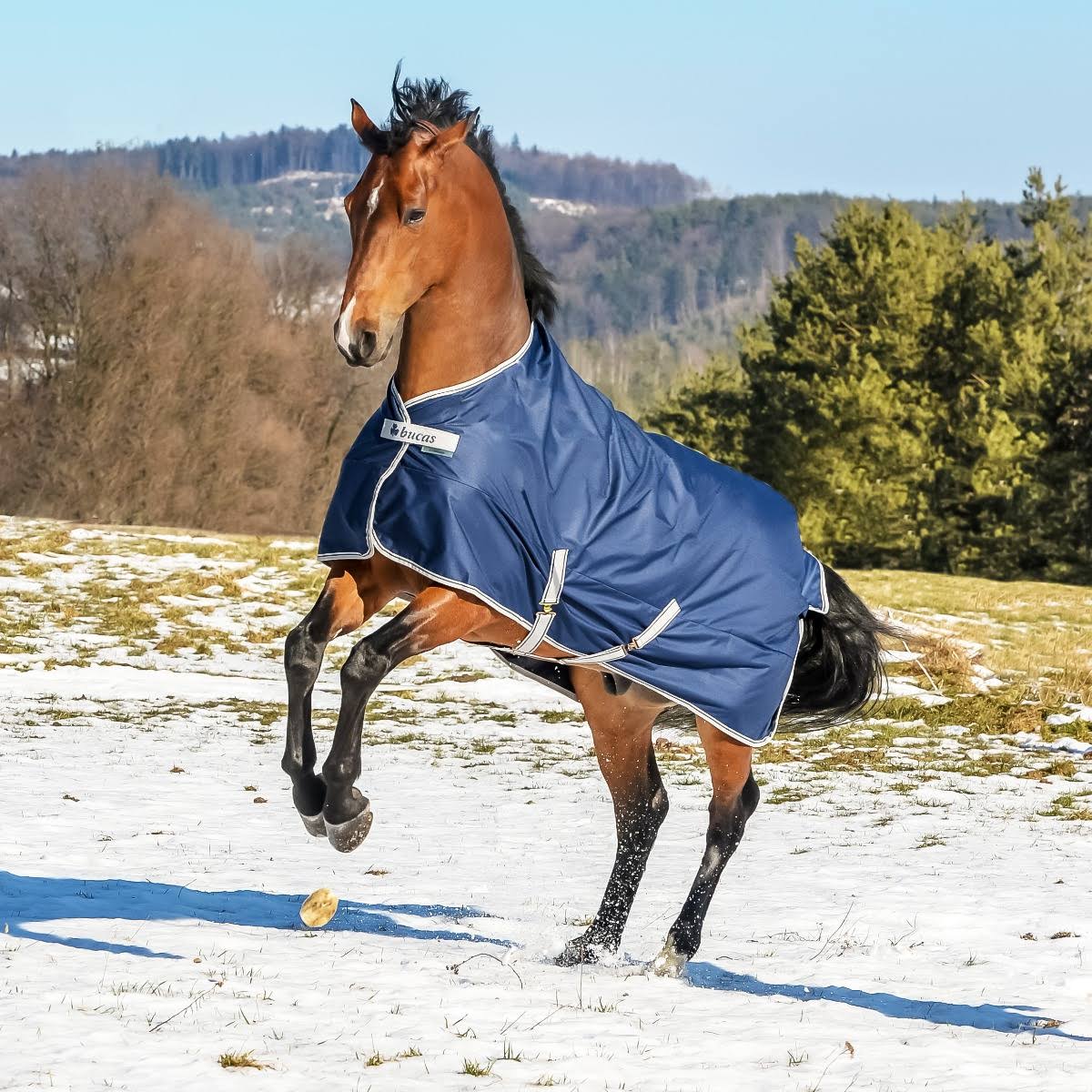 Navy 300g Turnout T826