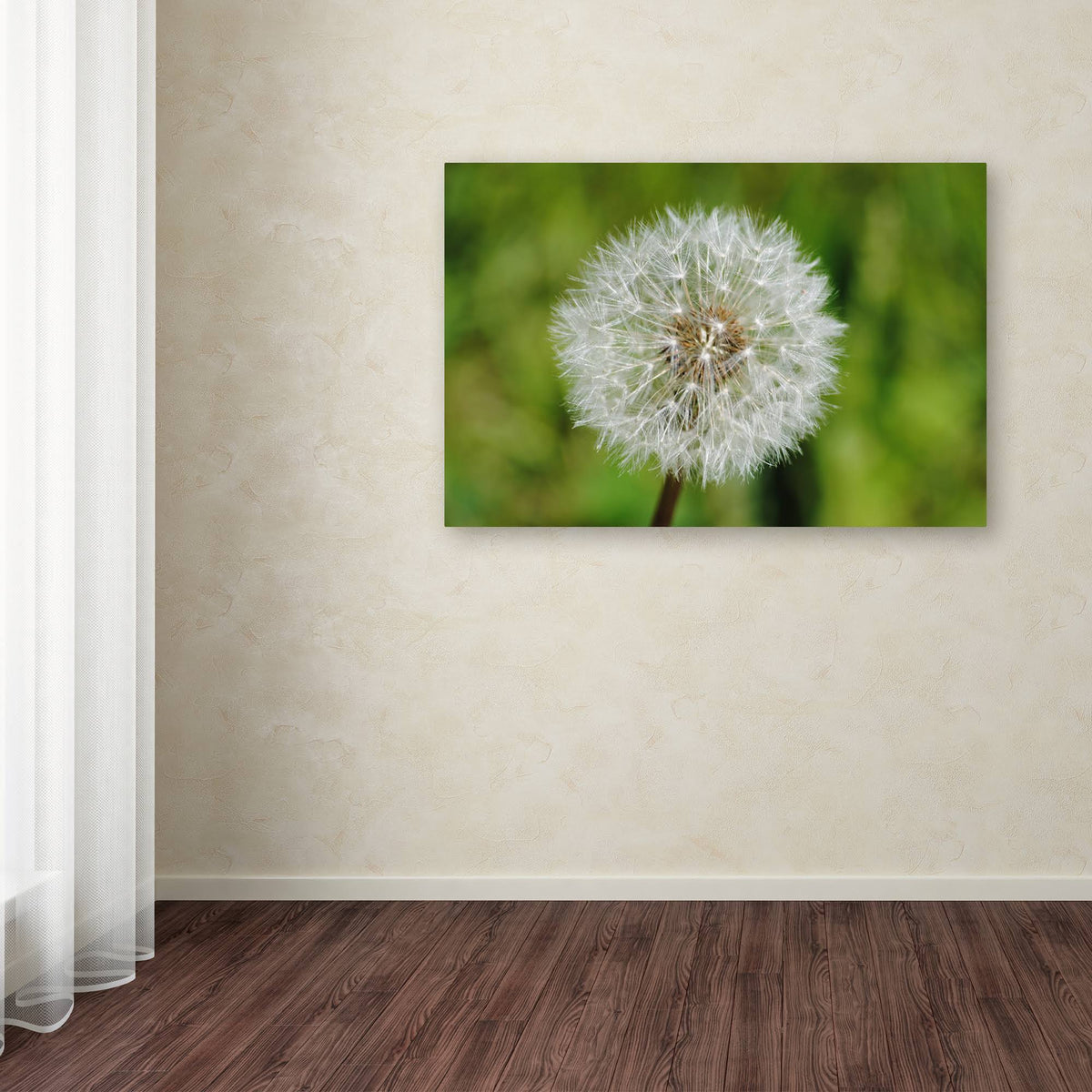 Canvas Art A438