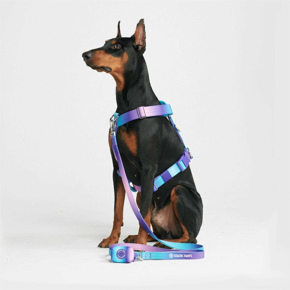 No-Pull Dog Harness S393873
