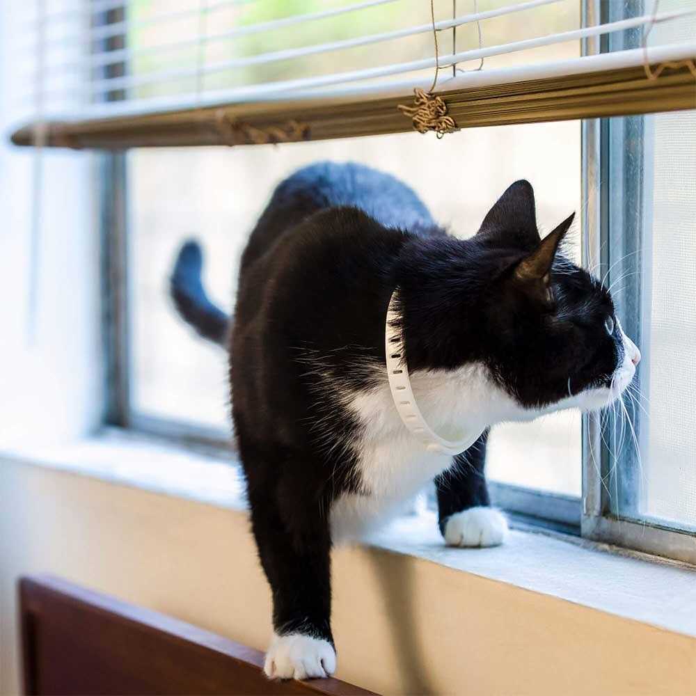 2 Pack Cat Calming Pheromone Collar O8700