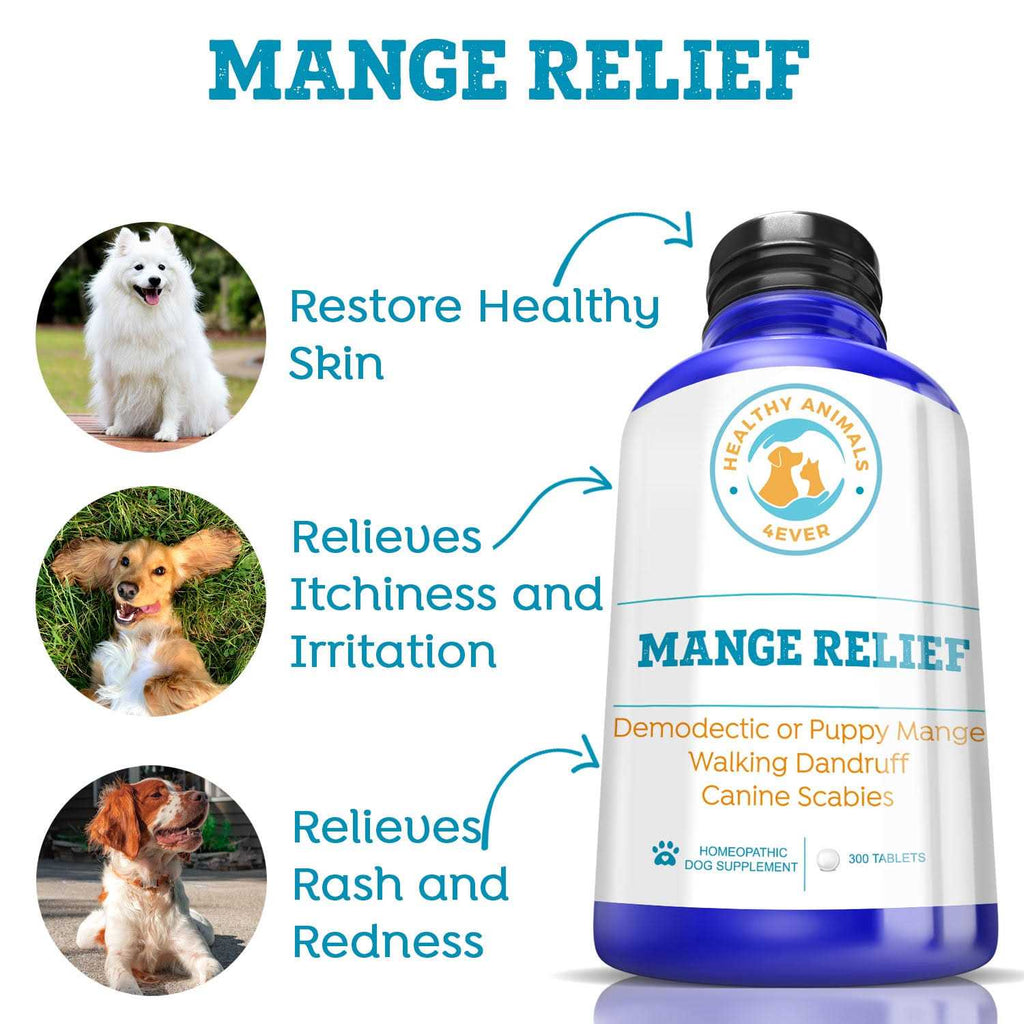 Dog Itchiness Relief Treatment C140849
