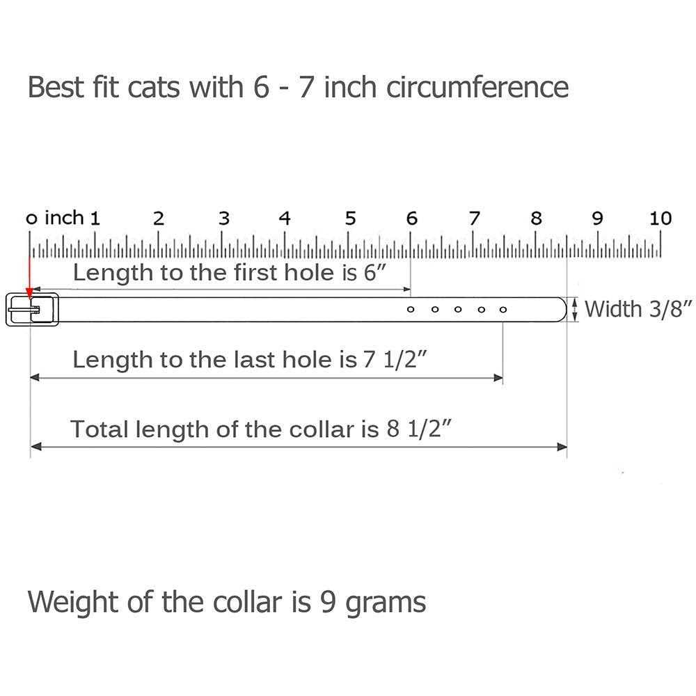 Leather Cat Collar with Bell W53154