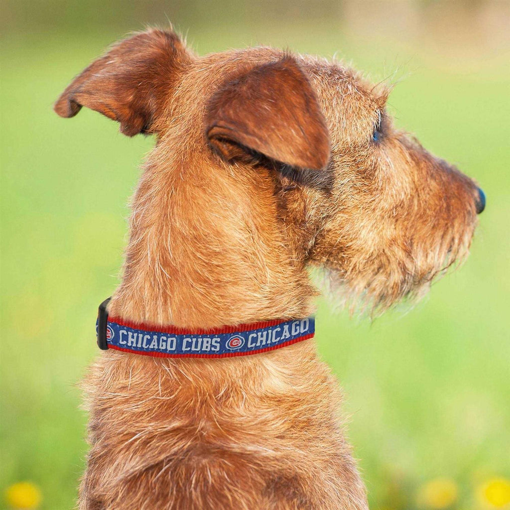Chicago Cubs Dog Collar U48115