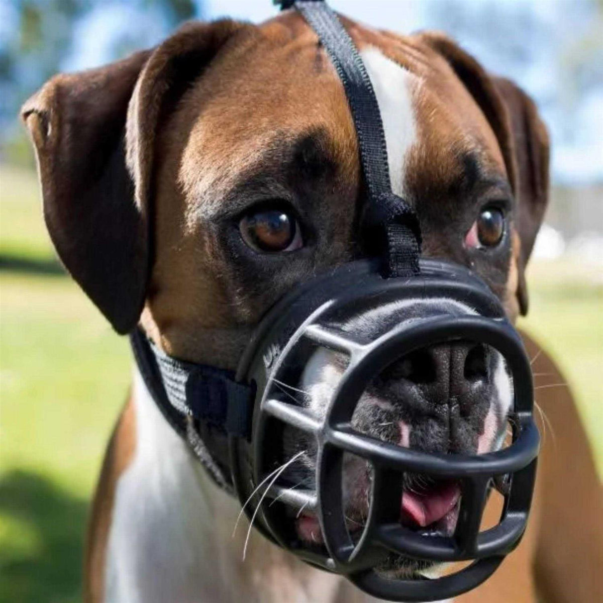 Ultra Muzzle F75268