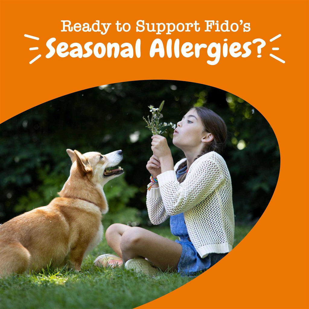 Lamb Allergy & Immune Mini Bites for Dogs J99996