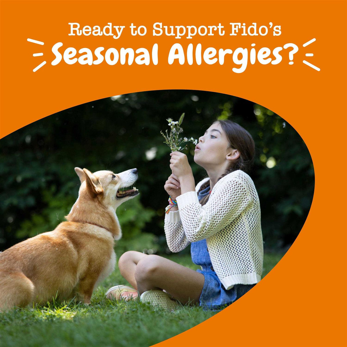 Lamb Allergy & Immune Mini Bites for Dogs J99996