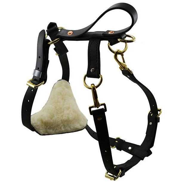Biothane Multi-Function Harness N548