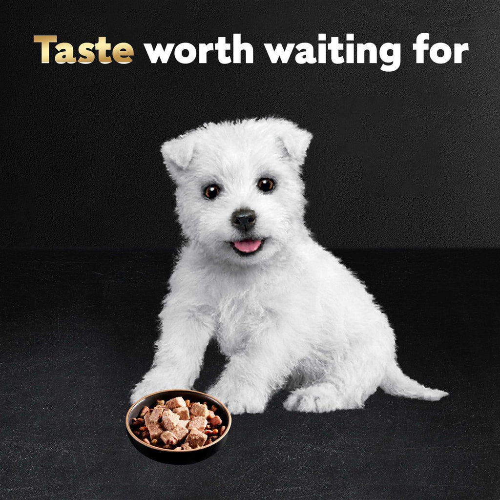 Chicken & Beef Recipe Wet Dog Food L7448