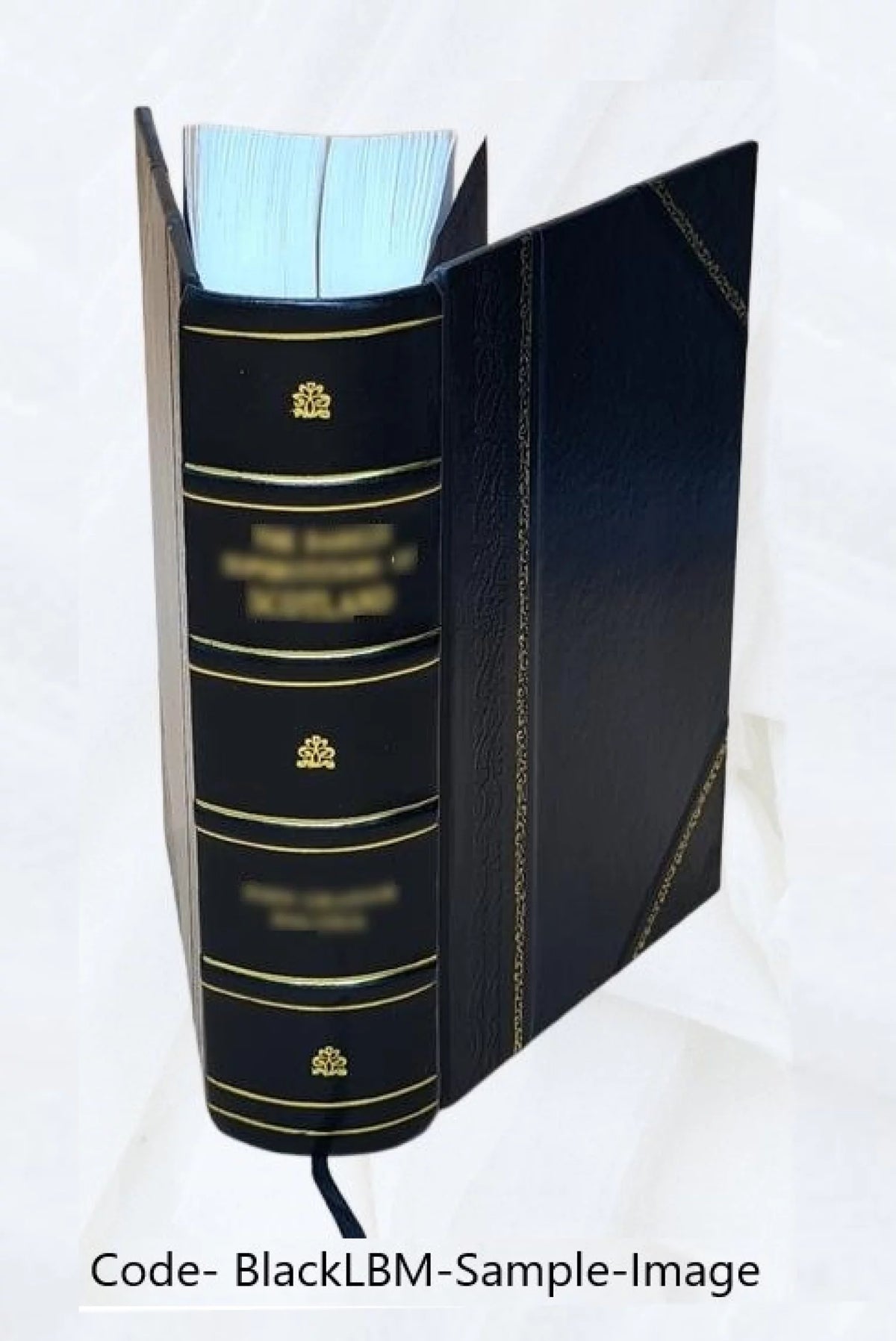 Leather Bound Furniture and Furnishings X179628