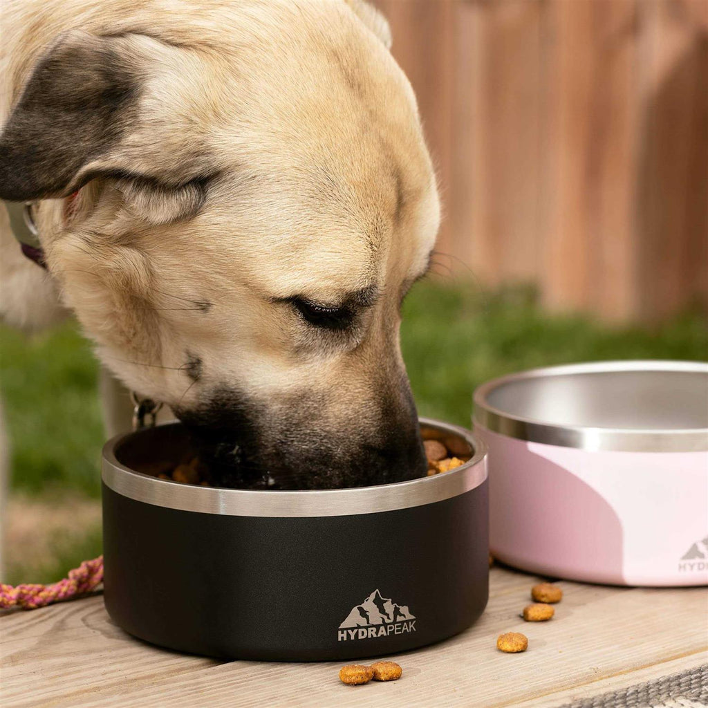 Non Slip Stainless Steel Dog Bowl D232782