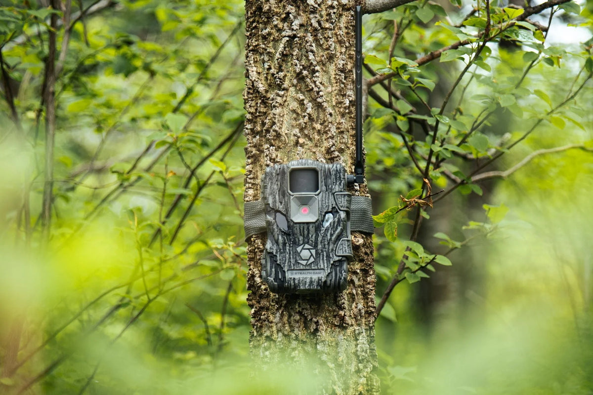 26.0-Megapixel Wireless Hunting Trail Camera L119973