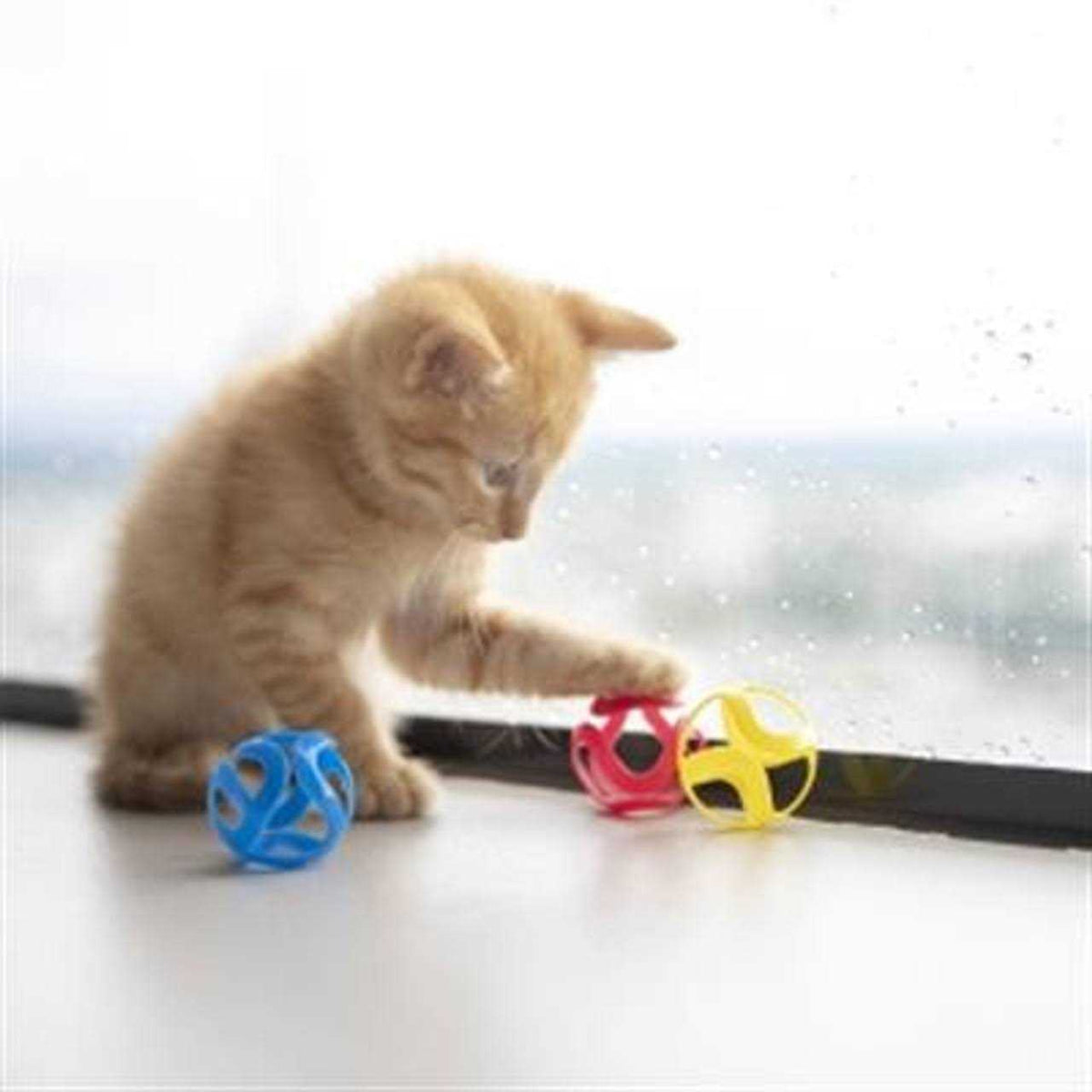 Cat Toy Q667225