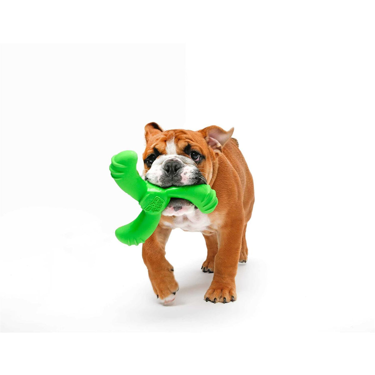 Dog Toy Y8253