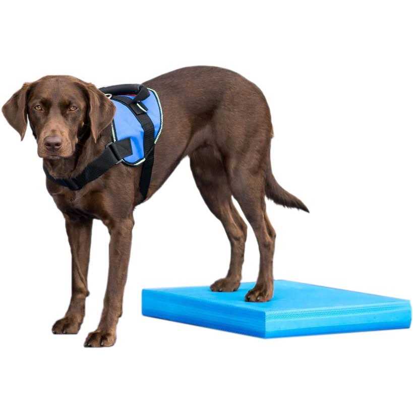 Balance Pad N55159