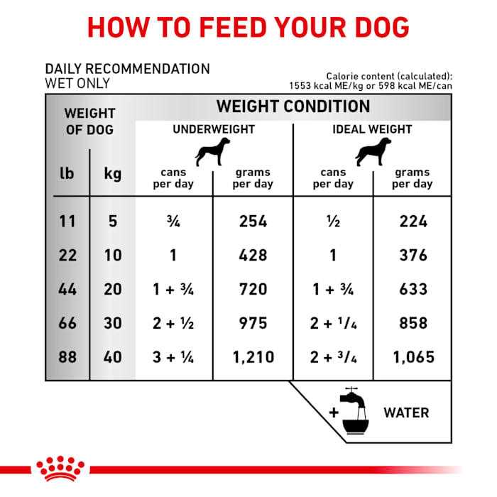 Renal Support Canned Dog Food Y21994