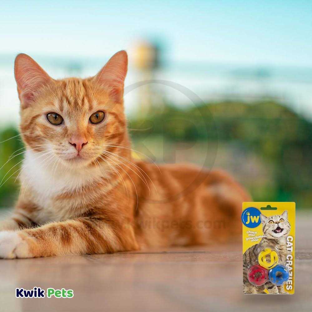 Cat Toy Q667225