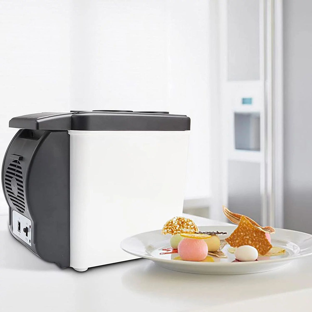 6L Car Fridge Portable Cooler Compressor C305