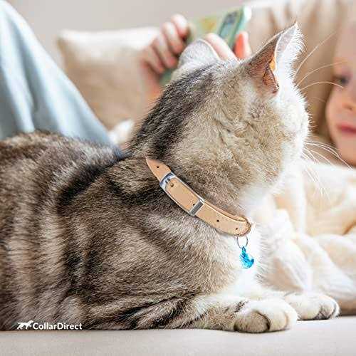 Leather Cat Collar with Bell W53154