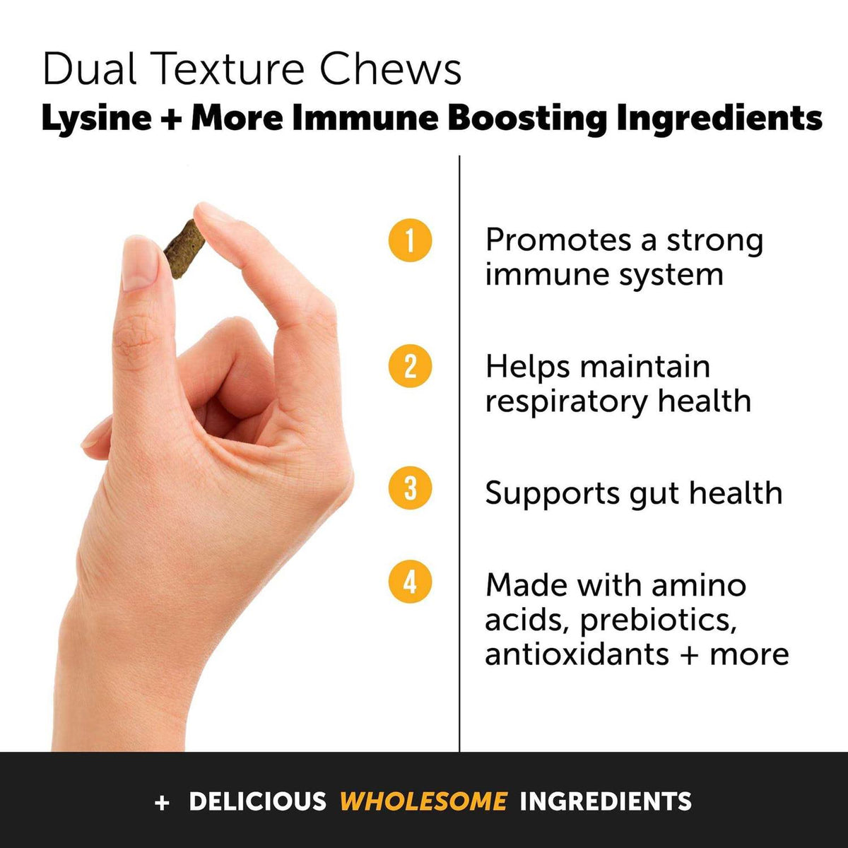 Cat Immune Support Chews E729