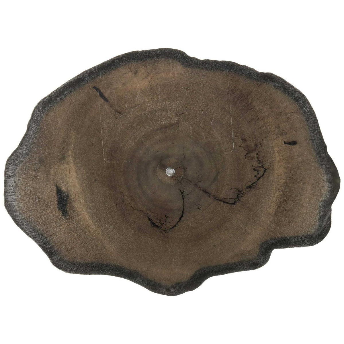 Reptile Food Dish K989447