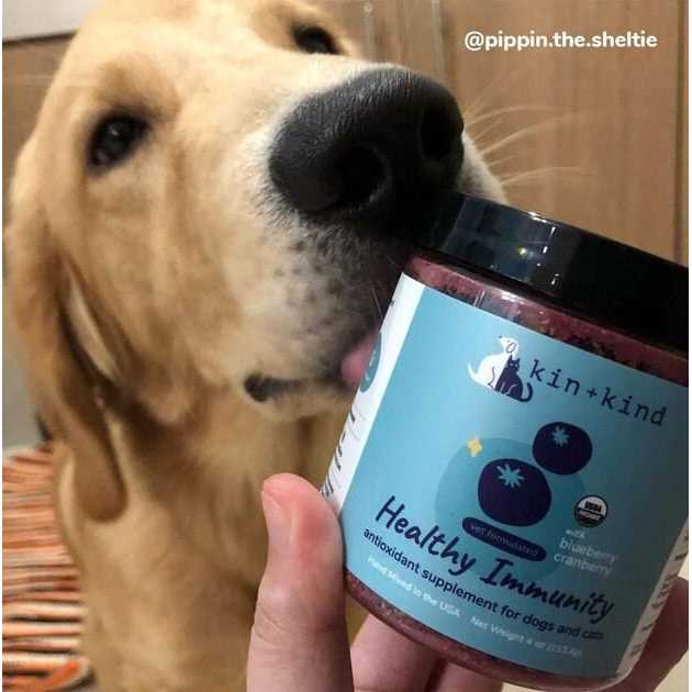 Healthy Immunity for Dogs and Cats J907