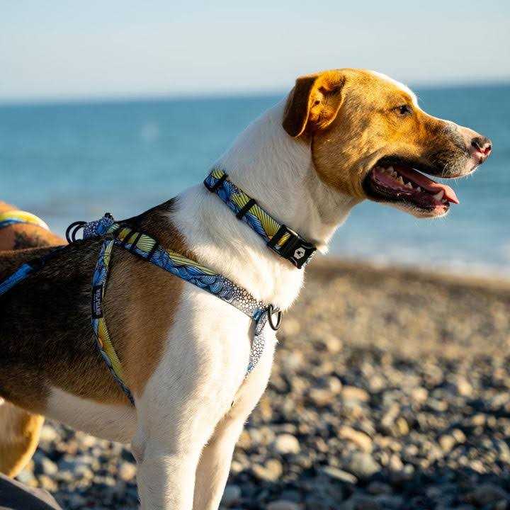 No-Pull Dog Harness S7474