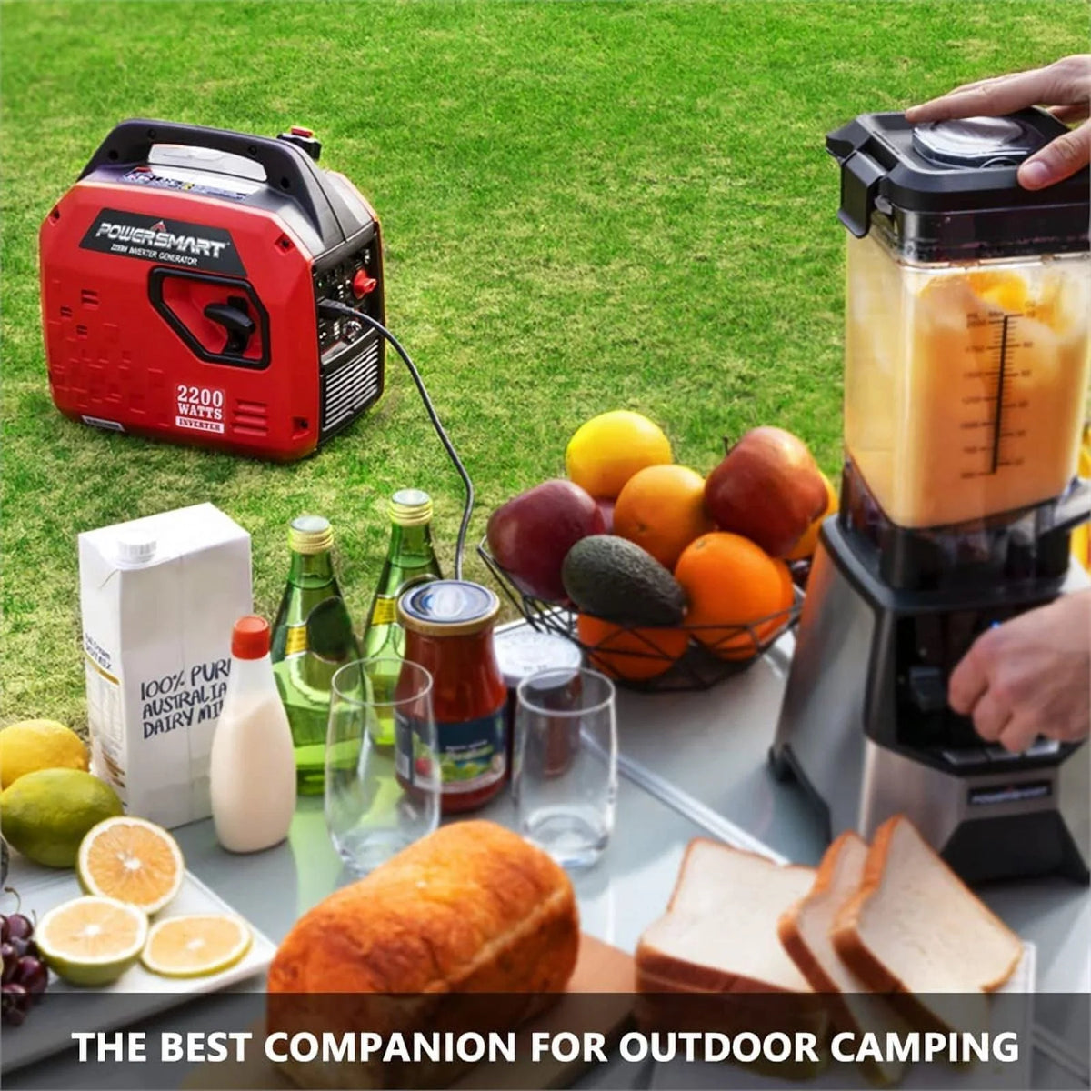 2200 Watts Gas Powered Inverter Generator D2885