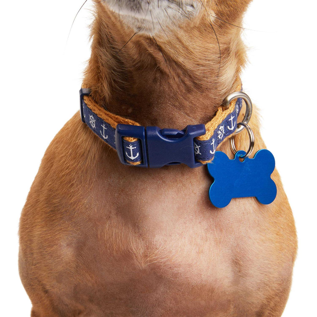 Dog Collar Z80057