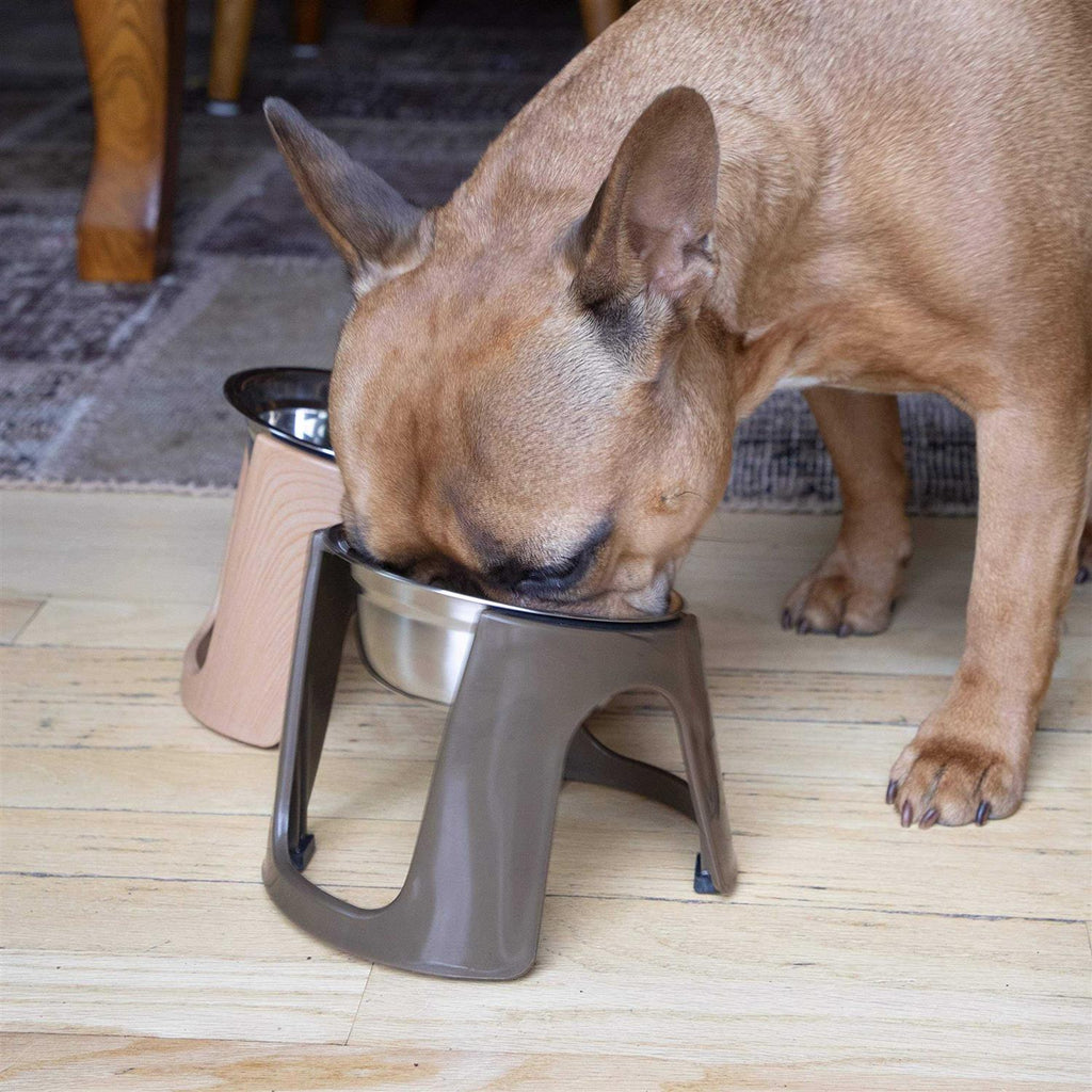 Raised Stainless Steel Food Bowls U576