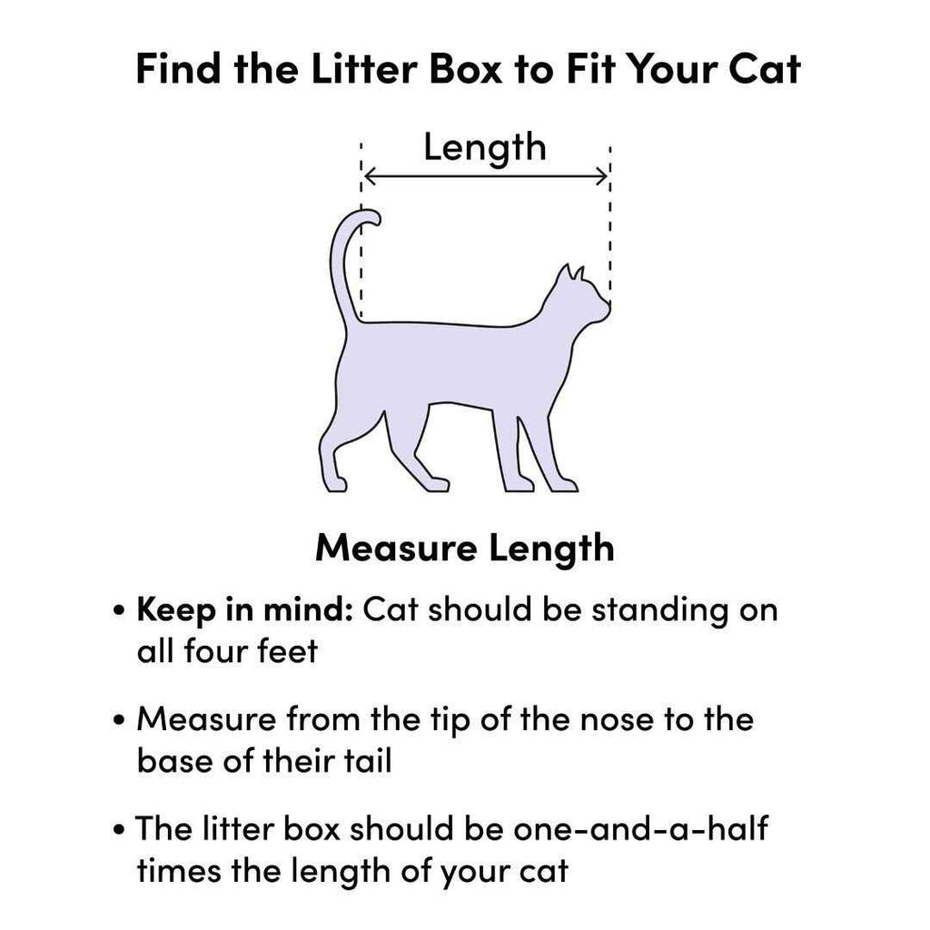 Cat Litter Pan X31290
