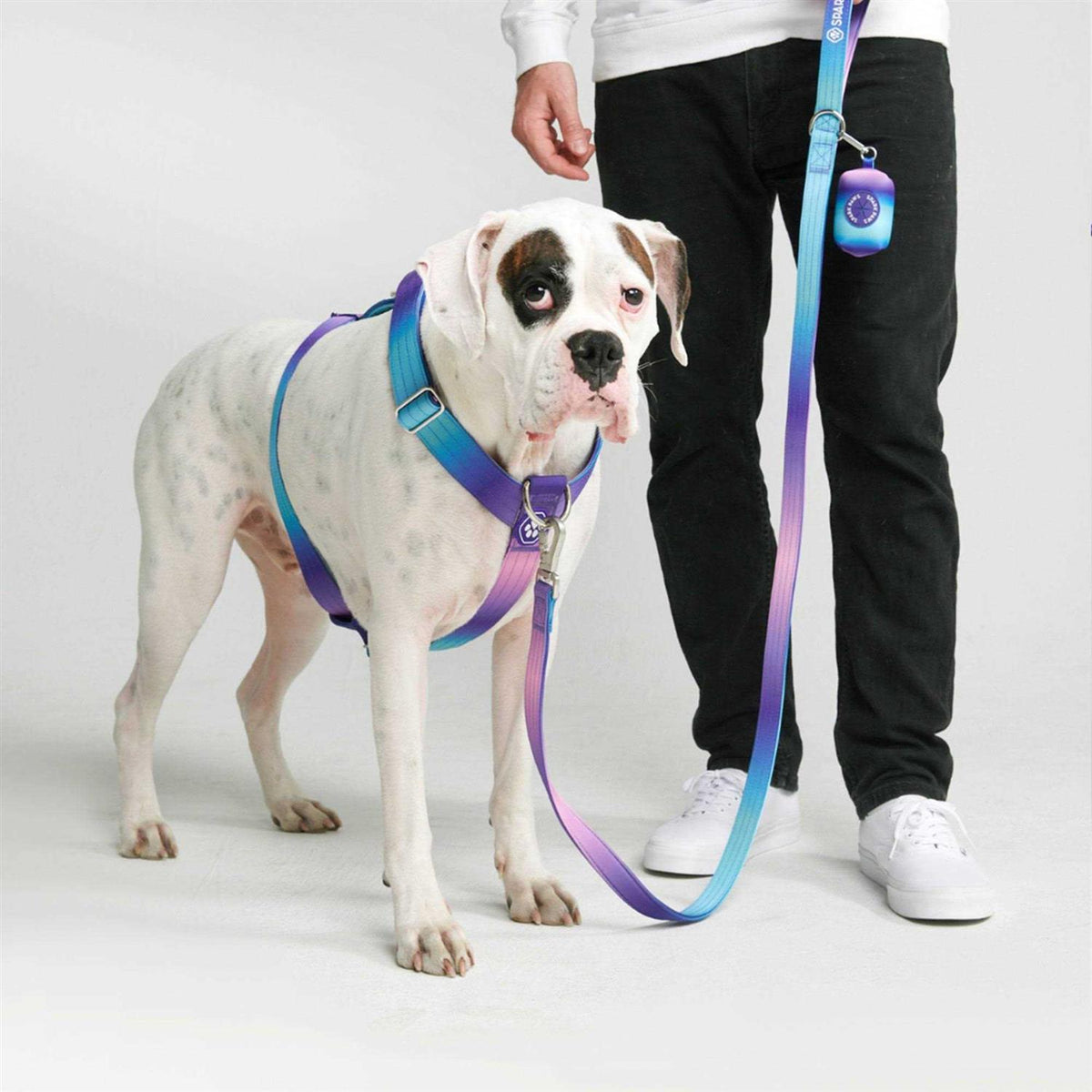 No-Pull Dog Harness S393873