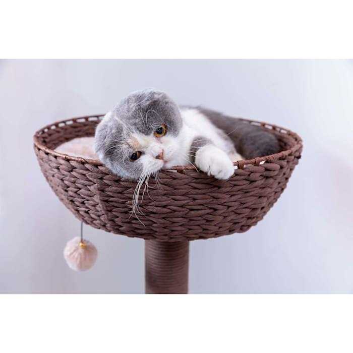 Brown Cat Tree S764