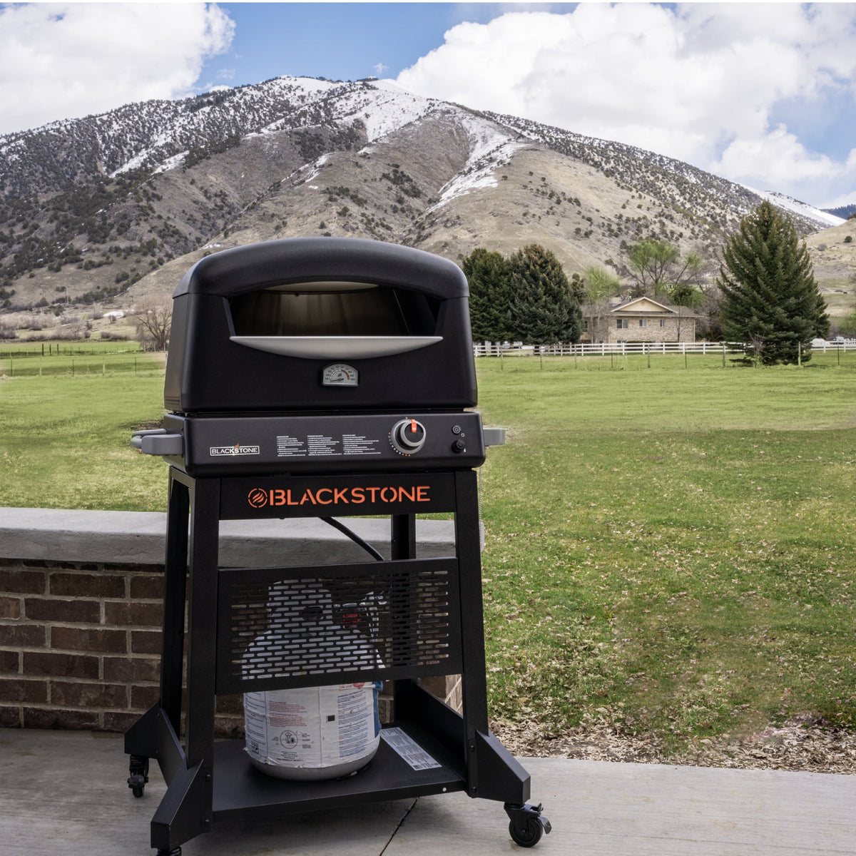 Propane Pizza Oven with Rotating Stone and Mobile Stand D453435