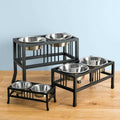 Double Raised Dog Bowl C5972