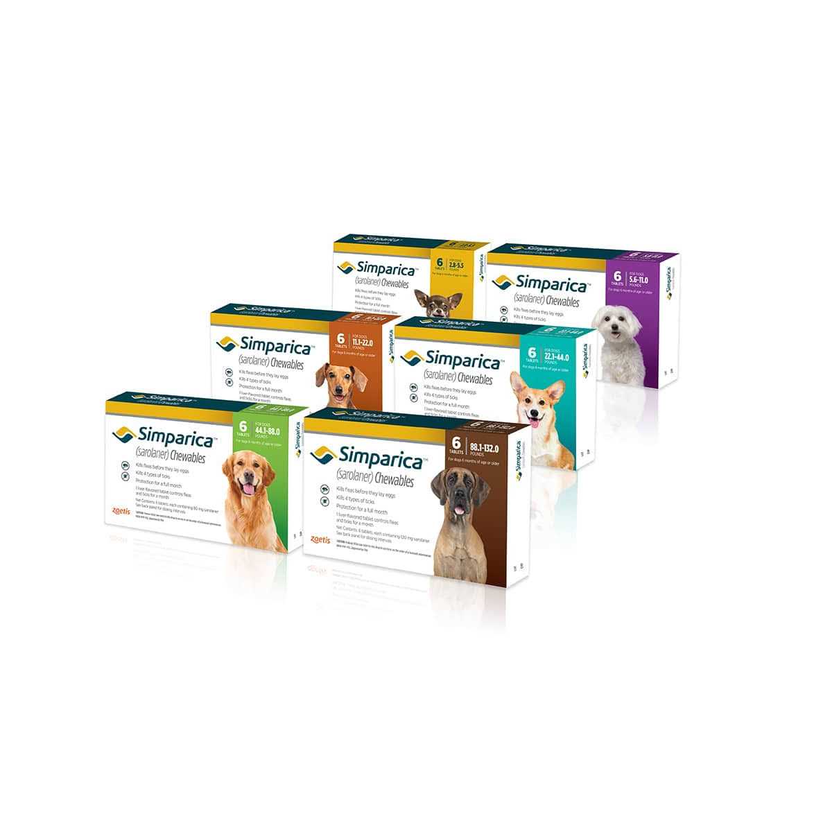 Chewable Tablets for Dogs B543