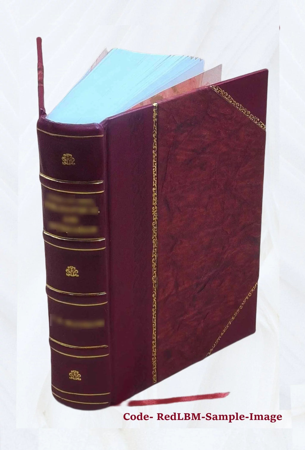 Leather Bound Furniture and Furnishings X179628