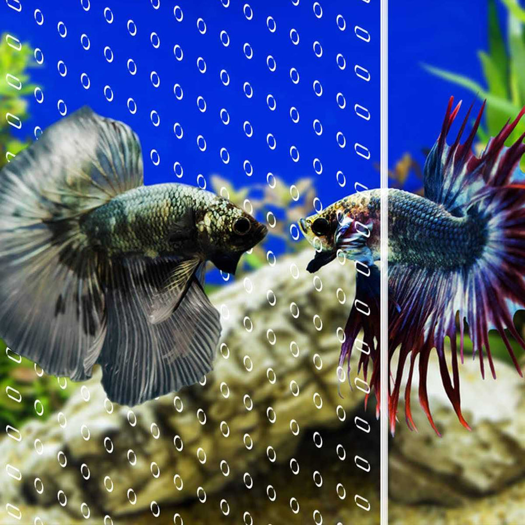 Clear Aquarium Divider with Suction Cups E261370