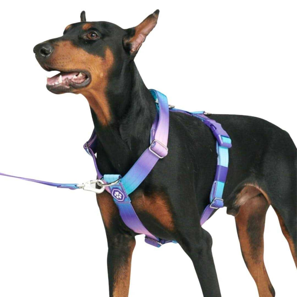 No-Pull Dog Harness S393873
