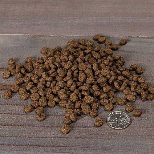 Grain-Free Dry Cat Food E613103