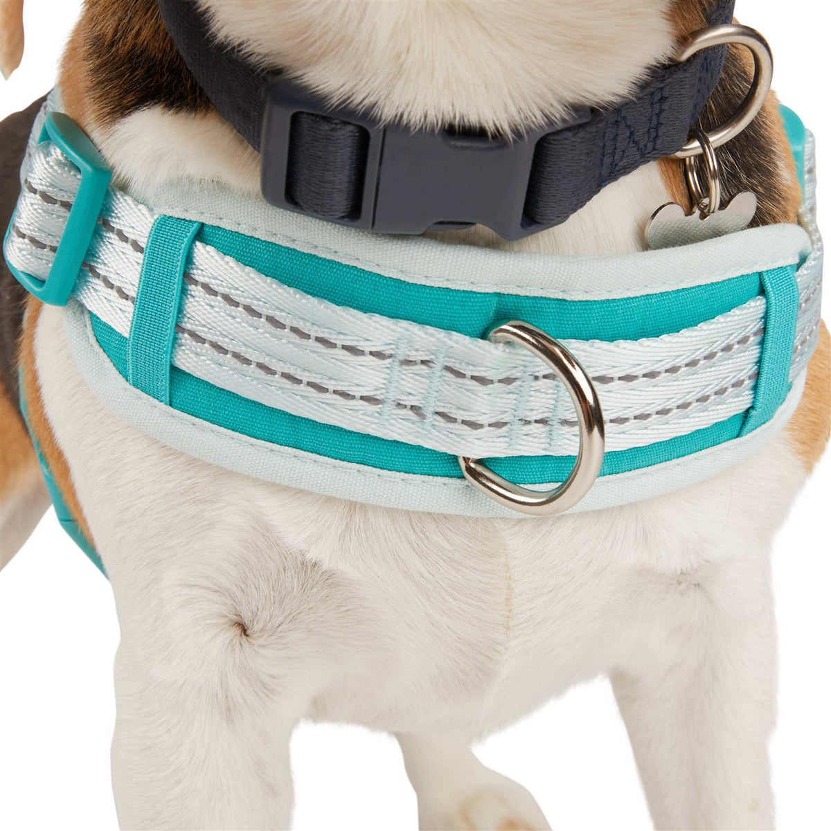 Easy On Training Dog Harness O29943