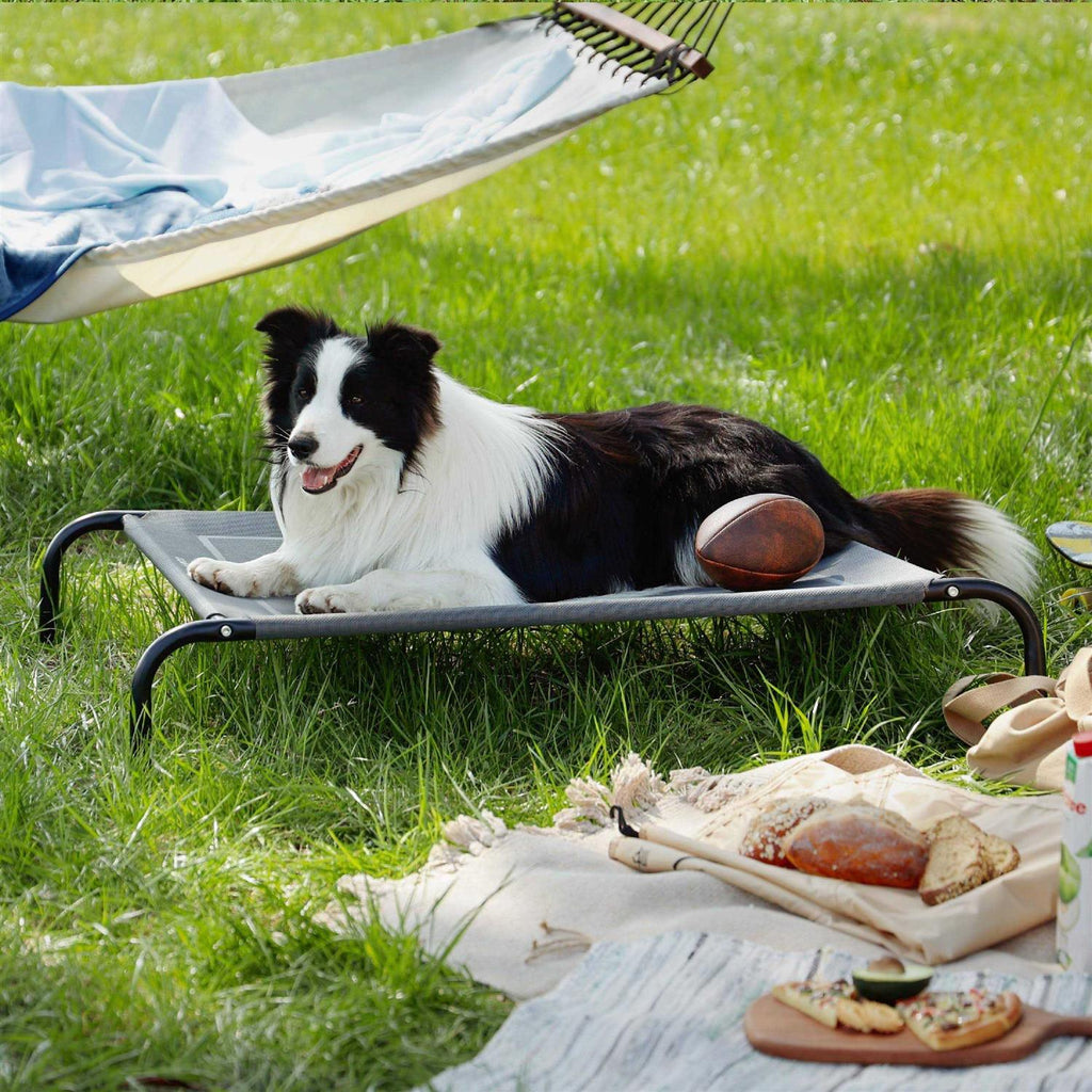 Large Elevated Cooling Outdoor Dog Bed G21724